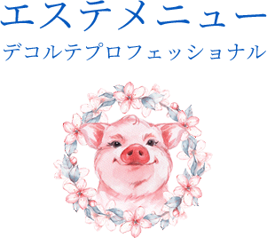 エステメニュー