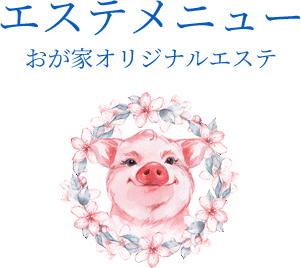 エステメニュー