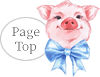 PageTop