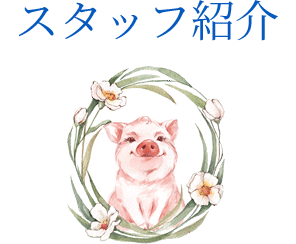 スタッフ紹介
